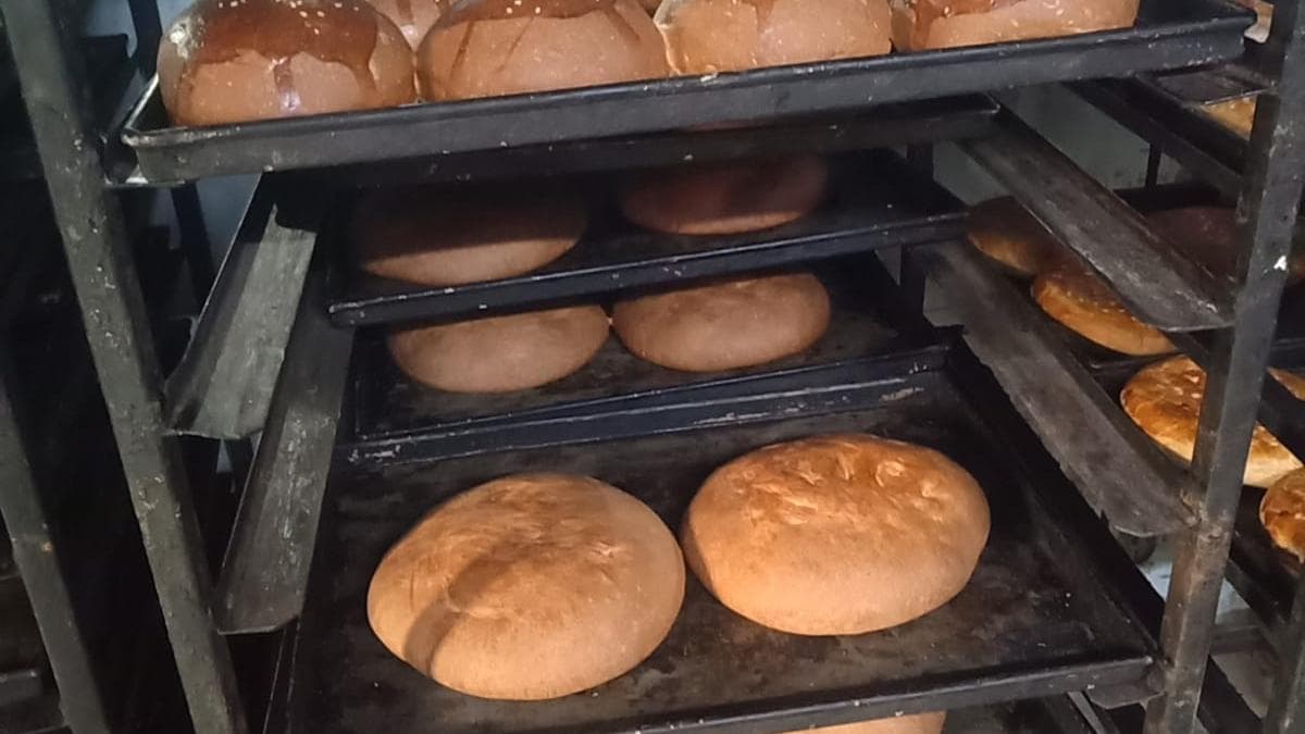Telangana Food Safety Task Force Cracks Down on Bakeries and Confectionery Outlets