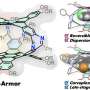 Breakthrough Molecular Armor Engineered to Trap Specific Flat Chemical Structures
