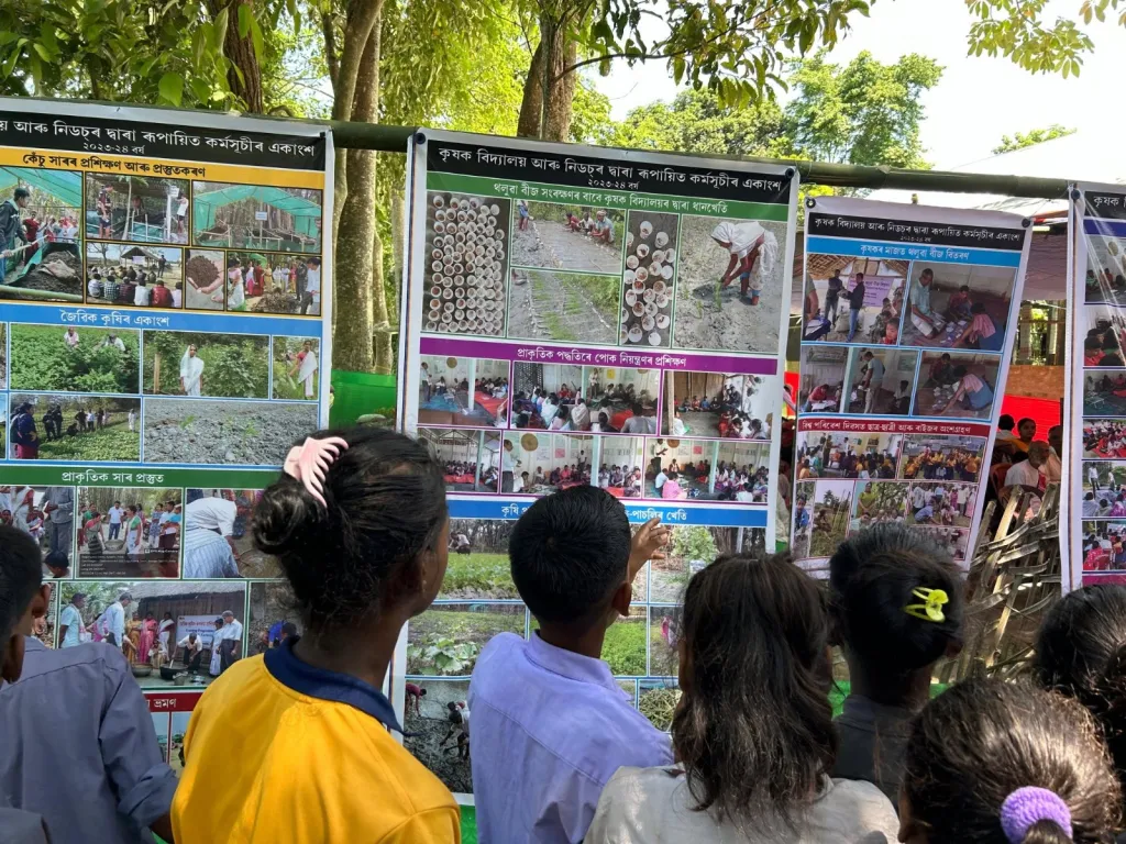 Assam Farmers Combat Climate Crisis by Reviving Flood-Resilient Indigenous Seeds