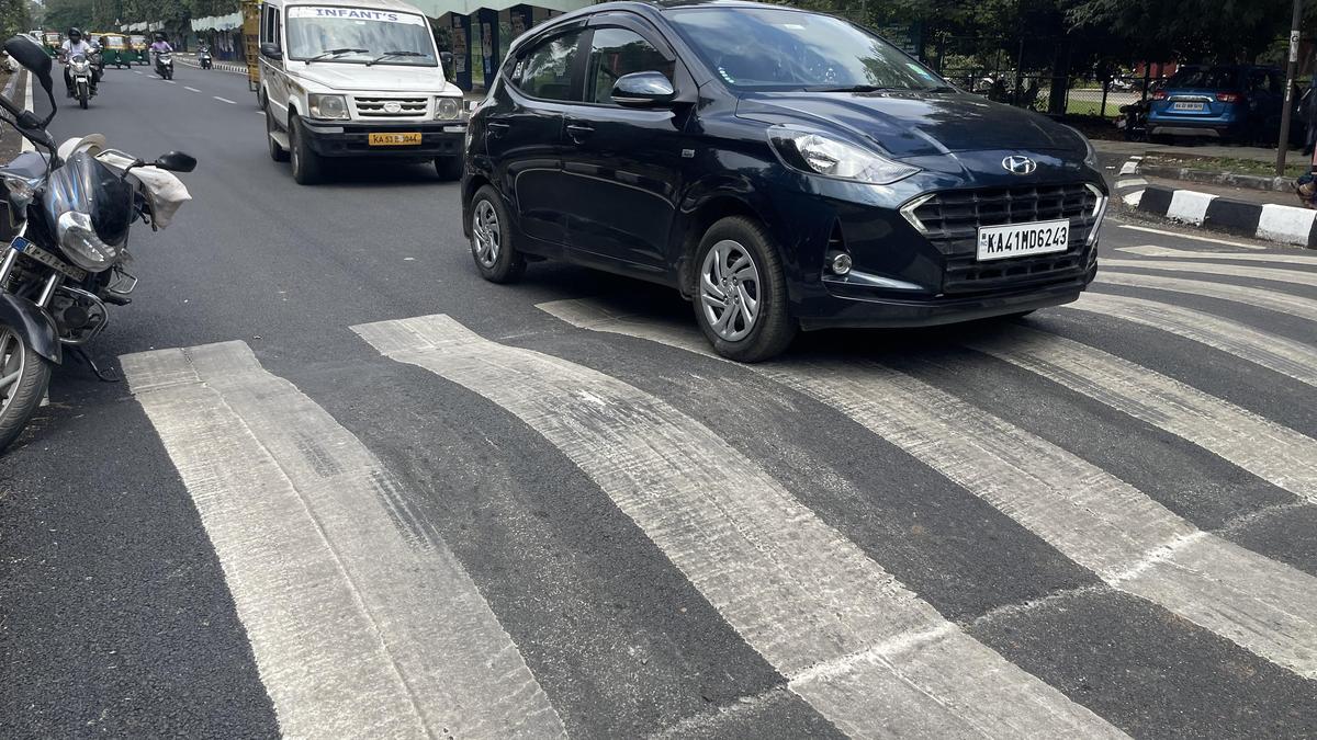 Bengaluru Fatality Sparks Urgent Probe Into Municipal-Traffic Authority Lapses