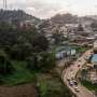 Botanists Race Against Time to Catalog Undiscovered Flora in Gabon's Rainforests