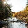 Can planting trees on riverbanks save salmon rivers from global warming?