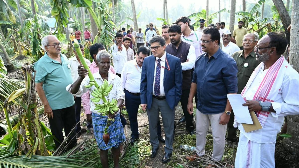 Central Delegations Evaluate Cyclone Arnab Devastation in Andhra Pradesh as State Demands ₹4,600 Crore in Aid