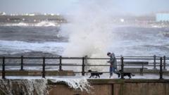 Storm Boelo Paralyzes Northern UK Infrastructure Leaving 90,000 Homes Dark