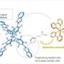 Counteranion captures reactants to boost light-driven chemistry in dilute solutions