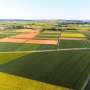 Agricultural Resilience Unlocked: Brazilian Study Proves Crop Diversification Defeats Extreme Weather