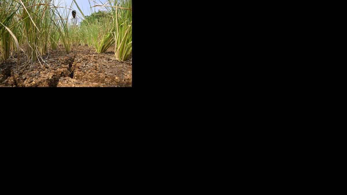 Demand for inclusion of all eligible mandals in Karimnagar in drought-affected list