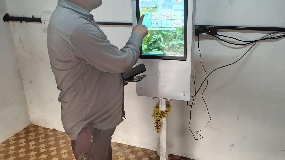 Wire Chronicle: New Digital Kiosks Deployed to Eliminate Middlemen in Indian Tobacco Auctions