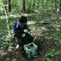 Hidden Underground Fungi Identified as Ecological Keystone Species in Forest Soils