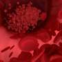 Engineered albumin helps a therapeutic protein last longer and cross mucosal barriers