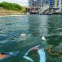 Hidden Reservoirs: European Rivers Trap Vast Majority of Plastic Waste Before Reaching the Ocean