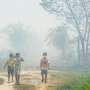 Indonesian Wildfire Smoke Claims Over 3,500 Lives in September, Research Reveals