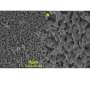 Breakthrough Seawater Catalyst Promises Low-Cost, Corrosion-Resistant Hydrogen Production