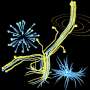 Identical vesicles, different behaviors: Model reveals how spontaneous asymmetry gives rise to lifelike behavior