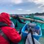 Marine DNA Study Reveals 126 Fish Species Migrating North in Japanese Waters Amid Climate Shift