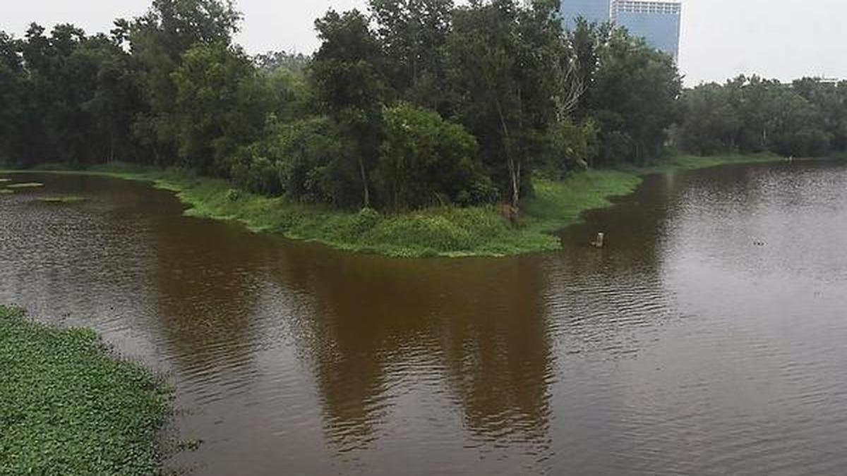 Kadambrayar River pollution: PCB seeks action-taken report from Thrikkakara municipality