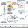 Innovative Light-Based Technique Promises Breakthrough in Lab-Grown Cartilage Quality Control