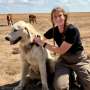Texas Livestock Guardian Dogs Emerging As Unexpected Allies For Endangered Swift Fox Conservation