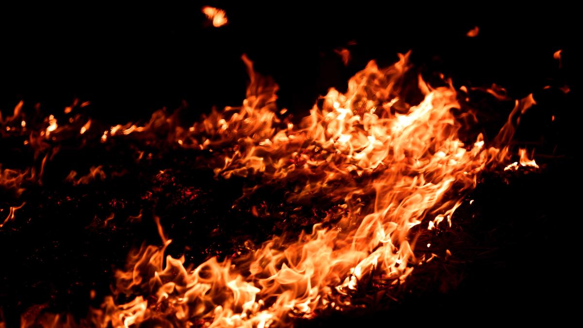 State Lokayukta Initiates Suo Motu Probe Following Massive Blaze That Devastated Crops Worth ₹50 Lakh