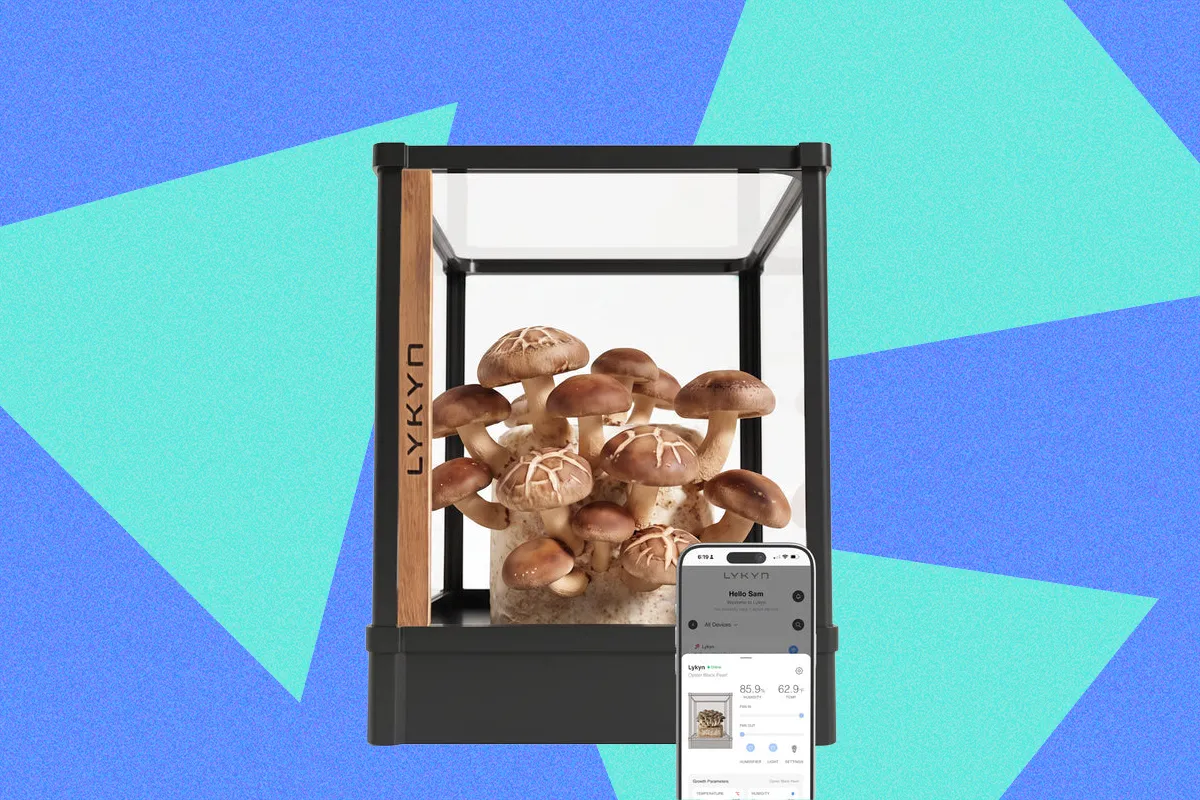 Lykyn Indoor Mushroom Chamber Blends High-End Design with Home Cultivation