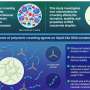 Synthetic Biology Breakthrough: Macromolecular Crowding Unlocks Artificial Cell Assembly