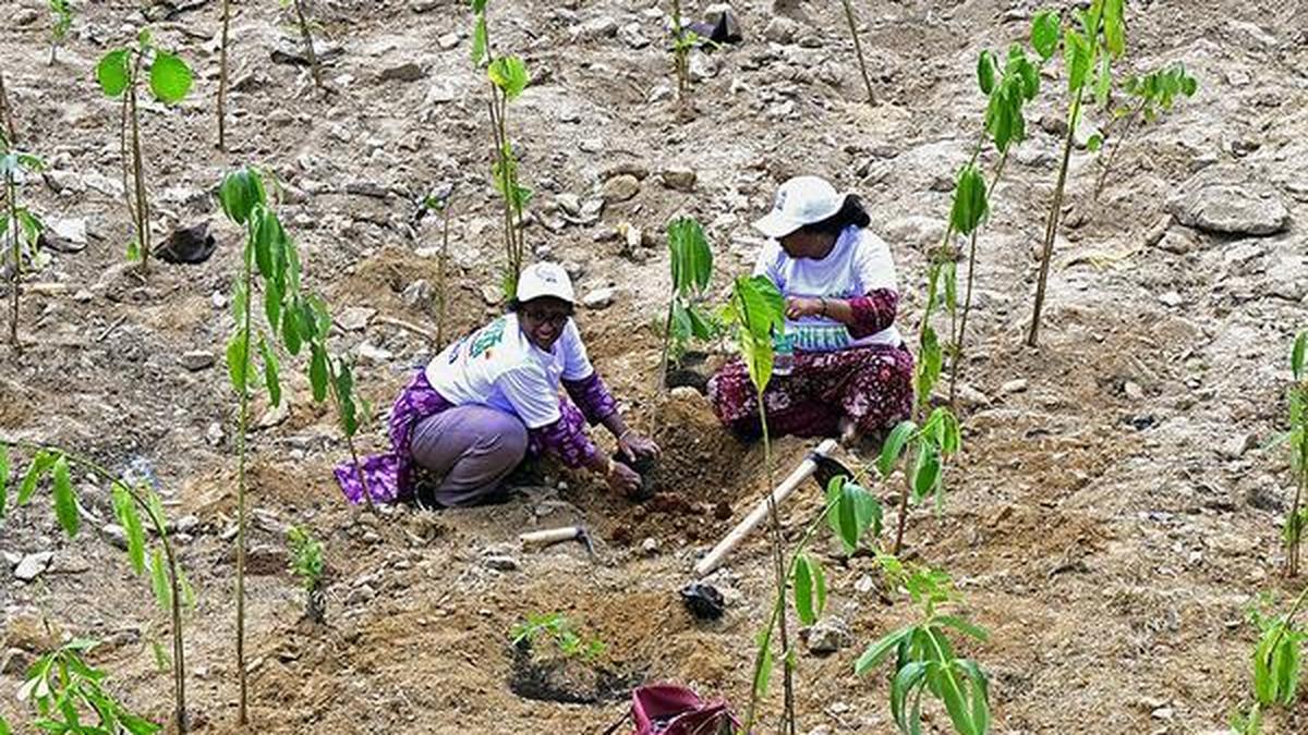 Maharashtra Allocates ₹90.72 Lakh for Forest Upkeep Amid Severe Drought Conditions