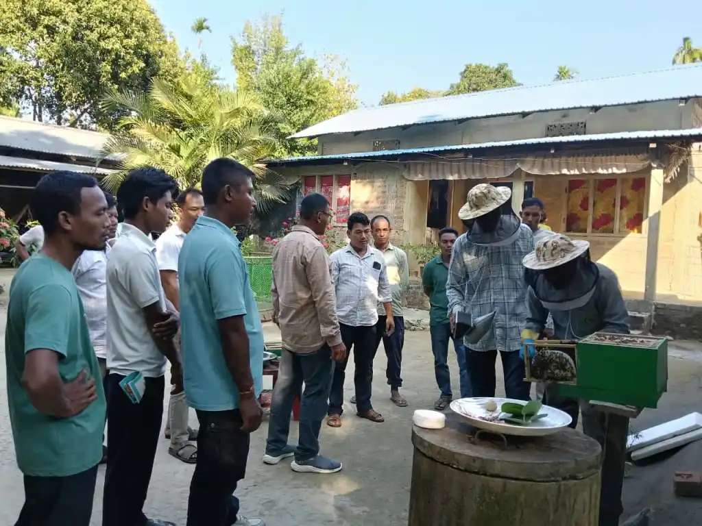 Empowering Conservation: Manas National Park Fringe Communities Receive Scientific Beekeeping Training to Boost Livelihoods