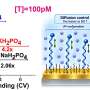 Breakthrough Electrode Technology Enables Ultra-Sensitive Multi-Reaction Analysis