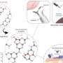 Breakthrough Biocompatible, Metal-Free Magnetic Sensor Enables Safe In-Vivo Wireless Monitoring
