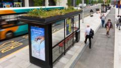 Urban Transit Transformation: City Approves Bus Stop Living Roofs to Revitalize Bee Populations