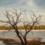 Global Experts Urge Complete Overhaul of Conservation Funding Frameworks