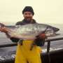 New Scientific Study Exposes High Disease Rates in British Columbia Salmon Farms Threatening Wild Populations