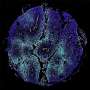 Revolutionary Tissue Atlas Unveiled to Train Artificial Intelligence in Cancer Detection