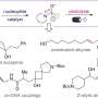 Breakthrough Chemical Reaction Expands Horizons for DNA-Encoded Drug Discovery