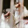 New Study Suggests Human Population Holds Preexisting Immune Defenses Against Avian Influenza