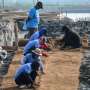 Philippine Island Shifts From Concrete to Nature-Based Defense Against Rising Seas