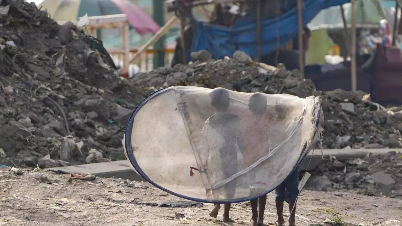 Poverty Plunges in India but Inequality Surges, World Bank Data Shows