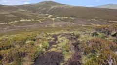 Cumbria Wildlife Trust Launches Major Peatland Restoration Initiative in Skiddaw Forest