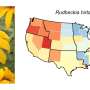Same species, different climate risks: Why plant conservation needs regional strategies