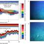 Marine Researchers Discover Massive Gathering of Over Two Million Eels on Tasmanian Seamount
