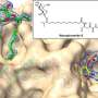 Dormant Bacterial Genes Unlocked by Researchers to Fuel Next-Generation Cancer Therapies