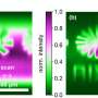 Breakthrough X-Ray Optics Technology Merges Imaging and Spectroscopy Into Single Component