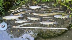 South West Water Earns Lowest Environmental Rating Amid Severe Pollution Concerns