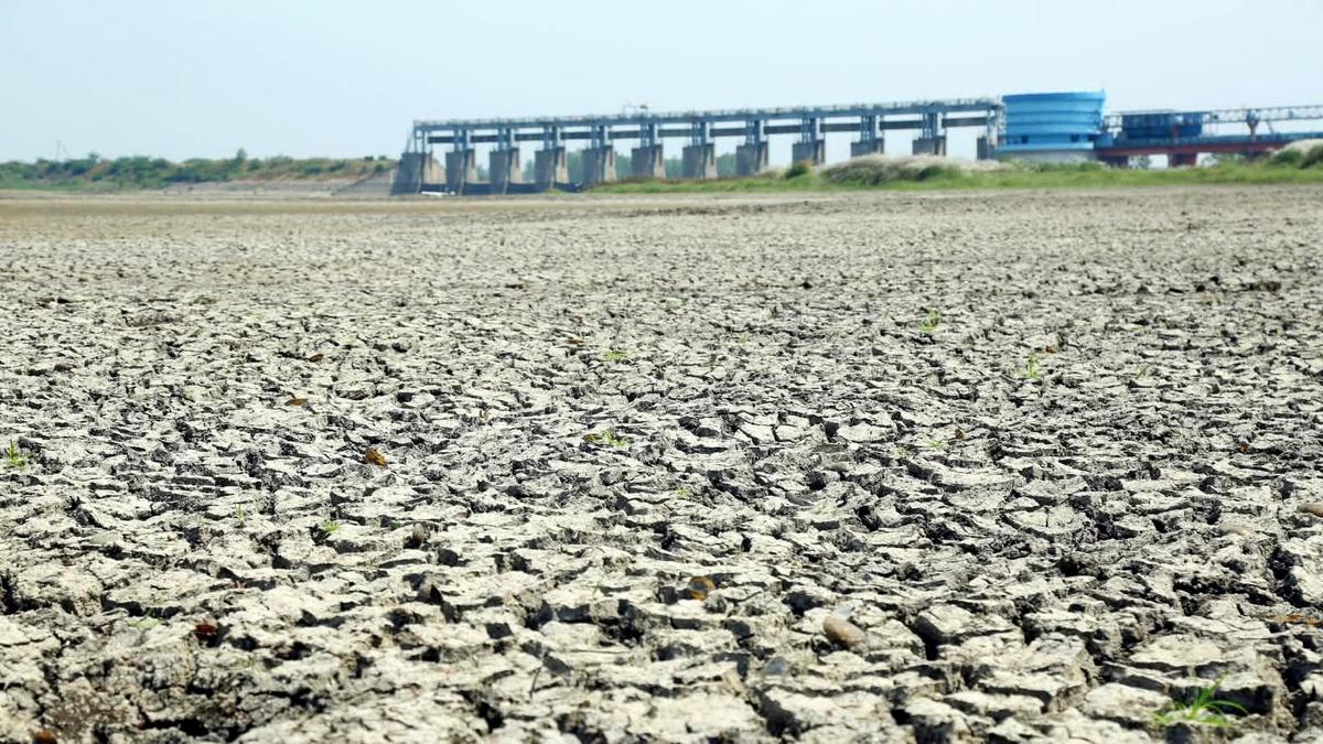 Telangana declares 365 mandals drought-affected, of which 111 severely drought-affected