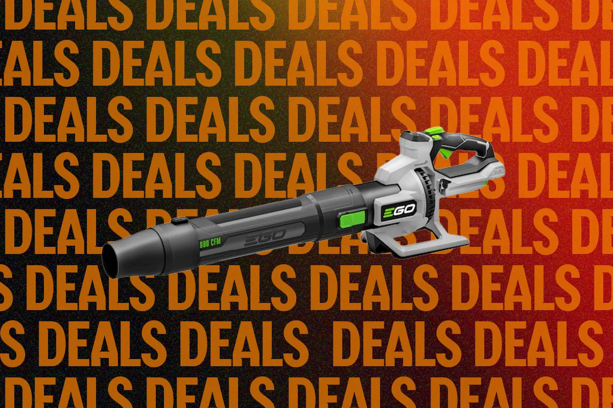 Top-Rated Cordless Leaf Blower Receives Major Discount Just in Time for Fall Cleanup