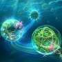Breakthrough Microfluidic Technique Expands Biodegradable Plastic Horizons