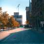 Severe Droughts Neutralize Urban Trees' Cooling Powers in Mediterranean Cities, Study Reveals