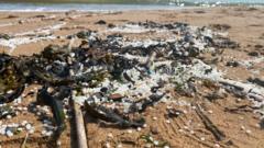 Unresolved Answers Loom Months After Massive Tyne Nurdle Spill