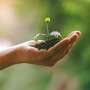 What is 'human composting'—and how does it work?